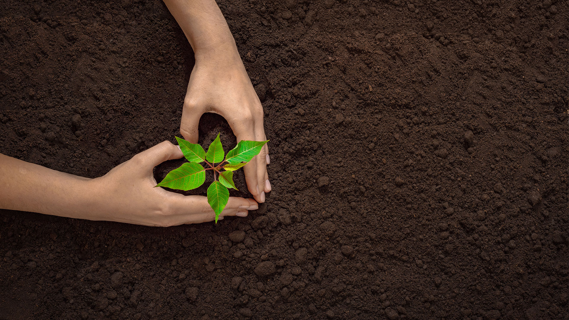 Ability to expand into the world